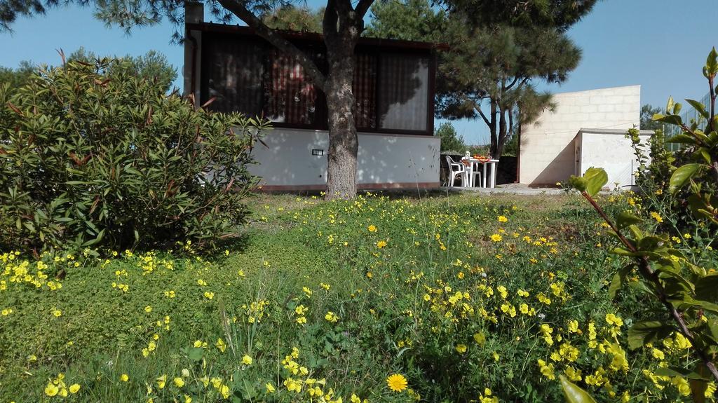 Casa Relax Acqua Marina Lägenhet Favignana Exteriör bild